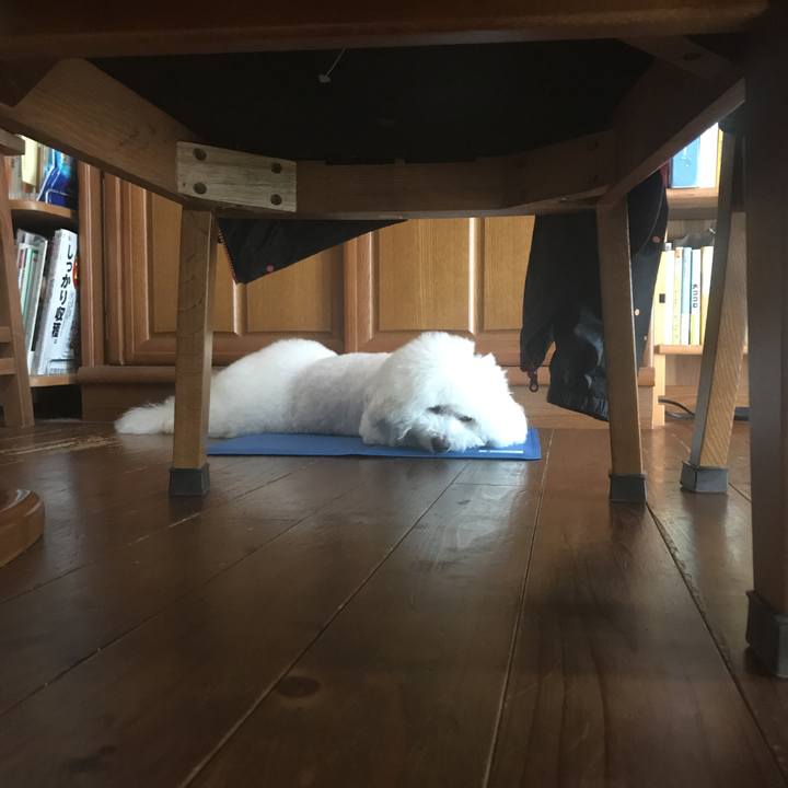 57f06346 f246 41f1 9851 1bee4cf3b1fc 1529026022773