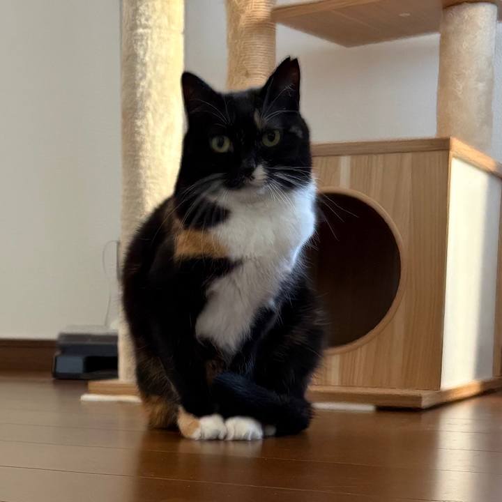 57f064de 3cbe 4d2e b3bf 991b70307da9 1764890257977