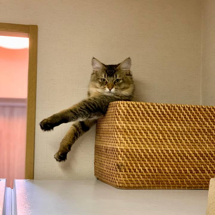 57f0ab1d bd2a 41ae 8bb3 ddb629b89a23 1715553335643