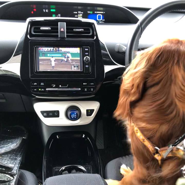 57f0b469 f219 4b58 8d27 603d9e95ddab 1602893963967