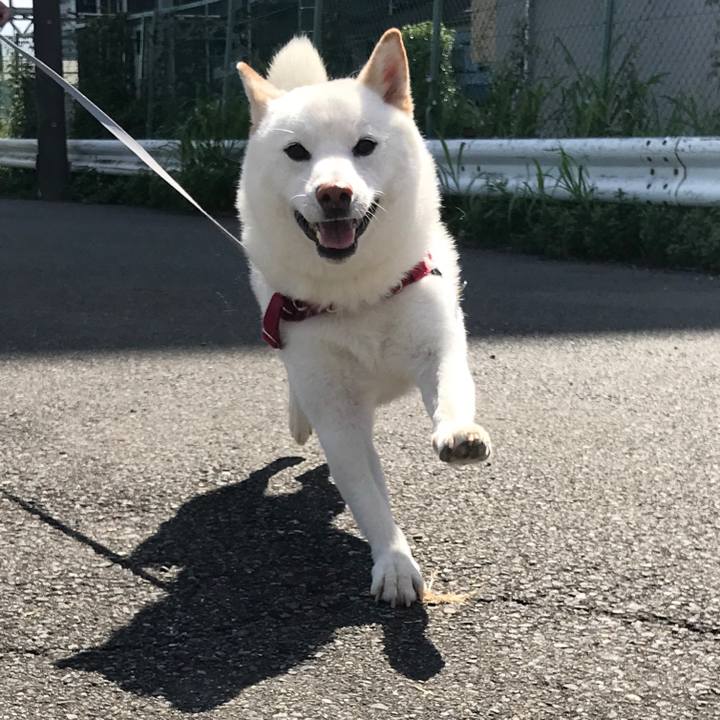 57f0cd29 0f41 44d0 b178 5fe217478707 1534902313499