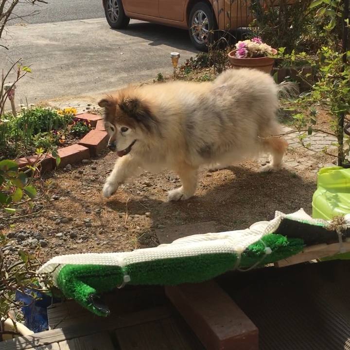 57f0fbcc 62f3 4aec 83c7 04c40a48da2d 1552963802837