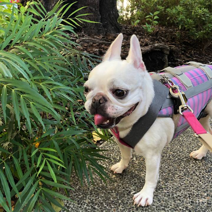 57f12197 7849 47ca 8cd4 b86f7702059e 1570935259712