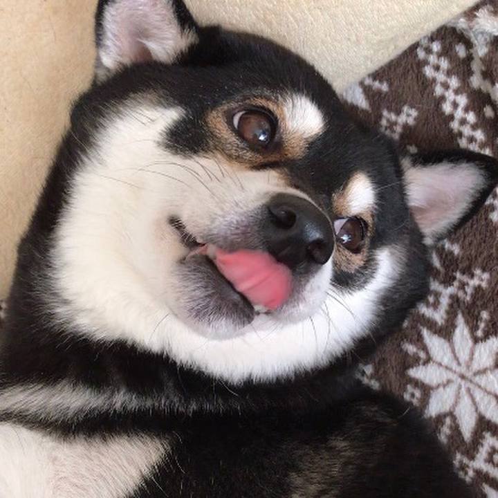 57f13b25 eb11 4dbf 963b bb96f9f70e94 1514014779991