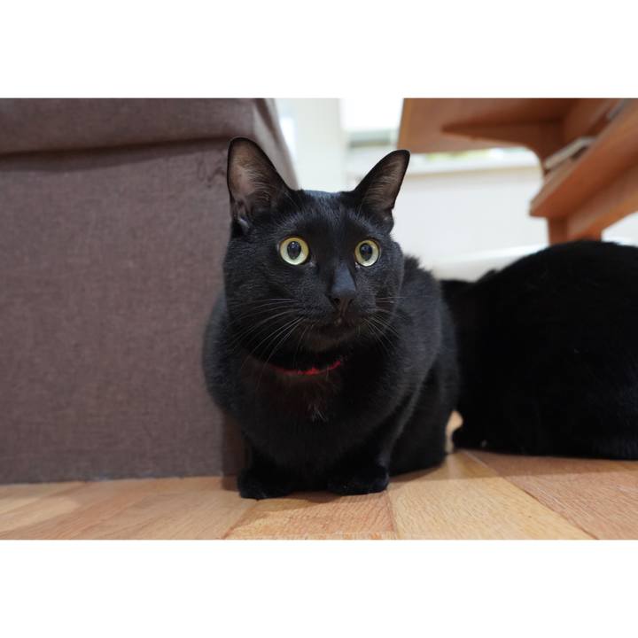 57f1a42a eae5 4285 a389 0ad0731ceac4 1667693993932