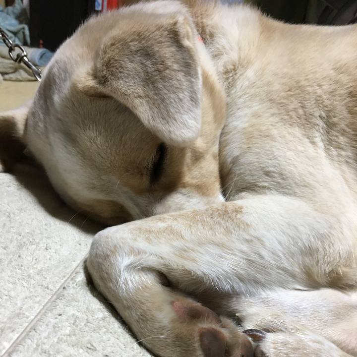 57f1acd1 ea6c 487b b844 60a321cdea66 1516370771076