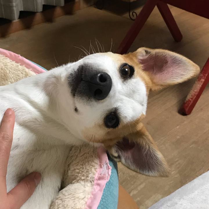 57f1b126 1003 4f96 be54 b55f6574e9b1 1582552735405