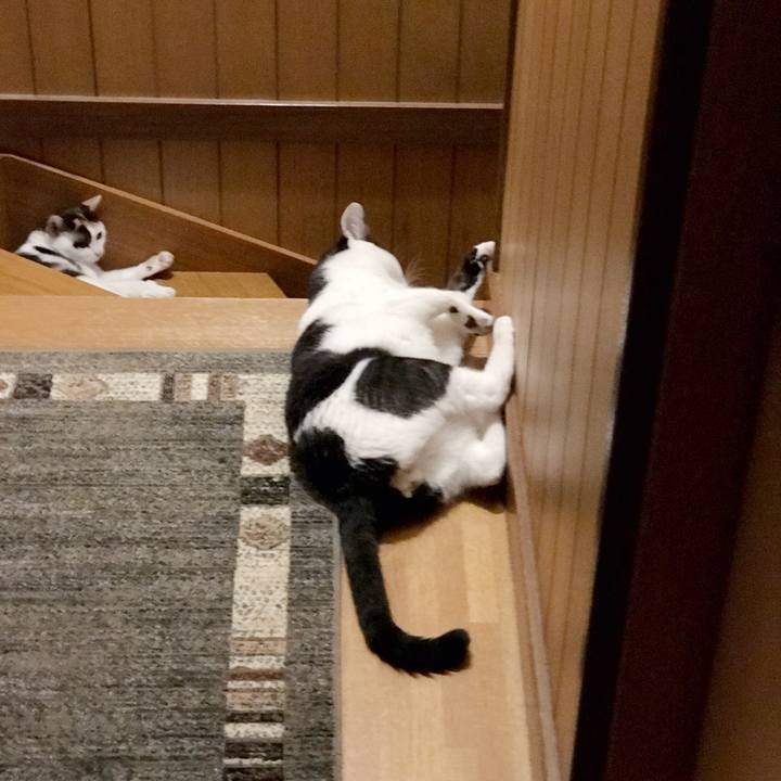 57f215c8 d3c2 4a33 bcf8 85bb1f732fcb 1536590687730