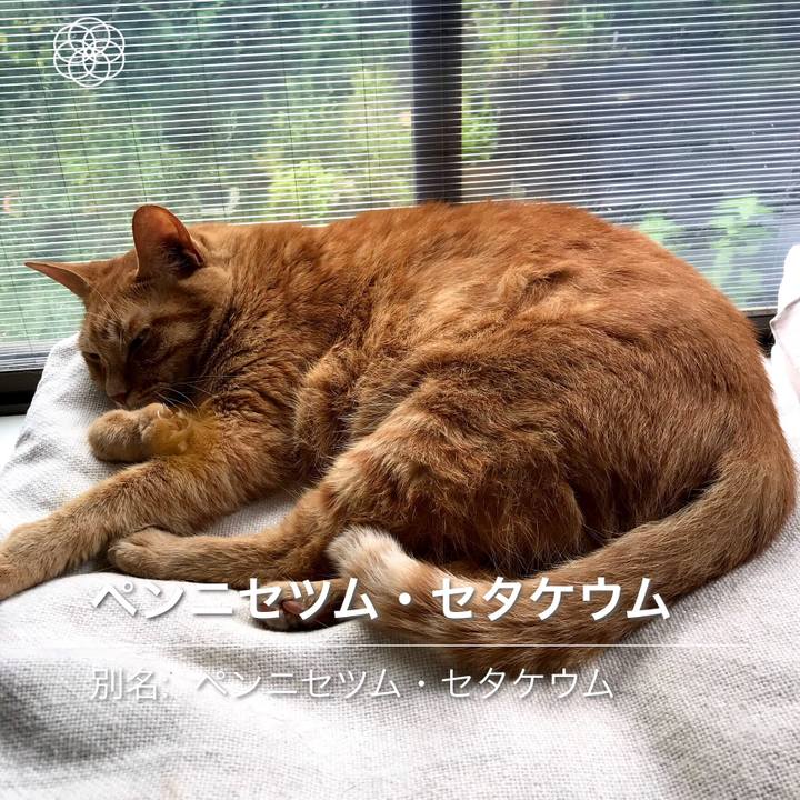 57f21f87 5956 4018 93d1 969cccec0d99 1594360718447