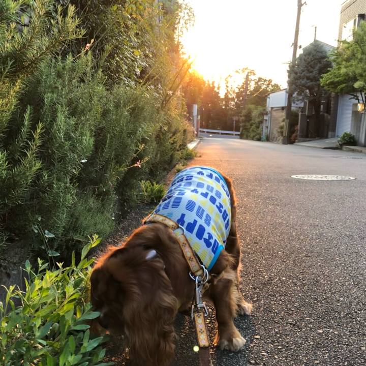 57f23081 7f87 4711 a210 c7baa4e5a1ad 1627688333995