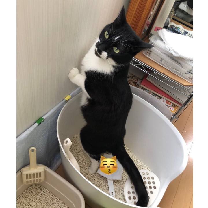 57f24d4a e05d 4a80 9ed5 83d7077f51a0 1649365878502