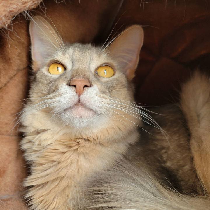 57f27985 aaab 424c 977f 40f3217ead49 1645850123478