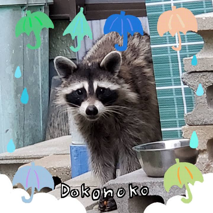 57f2b498 12b2 462f b178 9e8f8843ae58 1717772449686