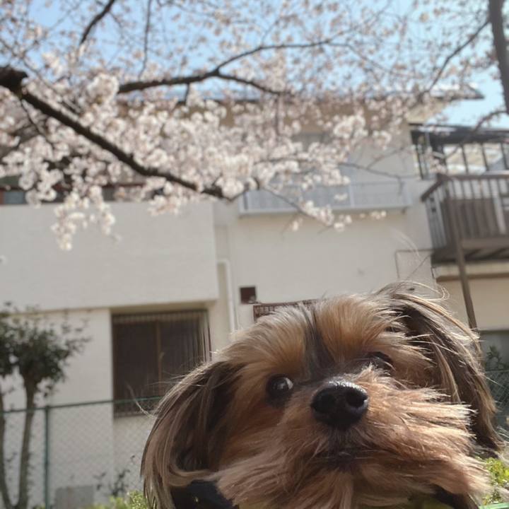 57f2db3b ebe9 4831 9c86 73fa0b2cb094 1648097758115