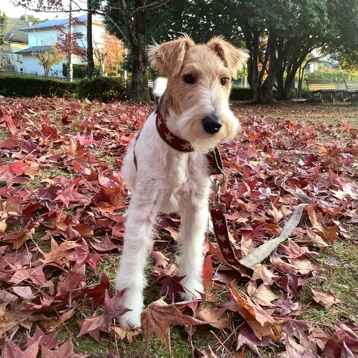 57f2e437 b73a 4fc2 abc8 24c0eee95fae 1763207958045