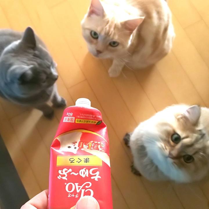 57f2eb46 a8ec 49f8 a6fe c9bbe67a8cb7 1570333769913