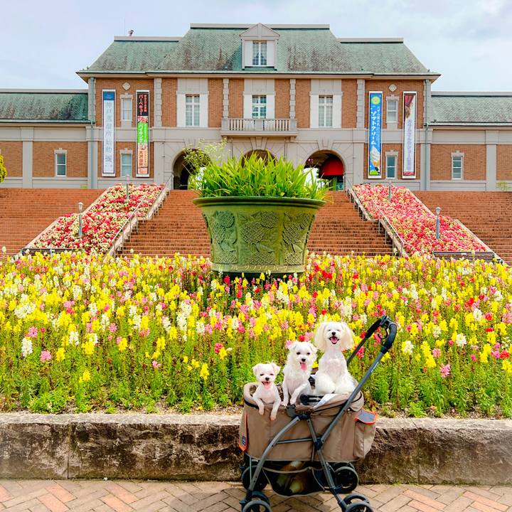 57f2eb7c 6aeb 485f 9842 ee60ab2047b1 1686478338419