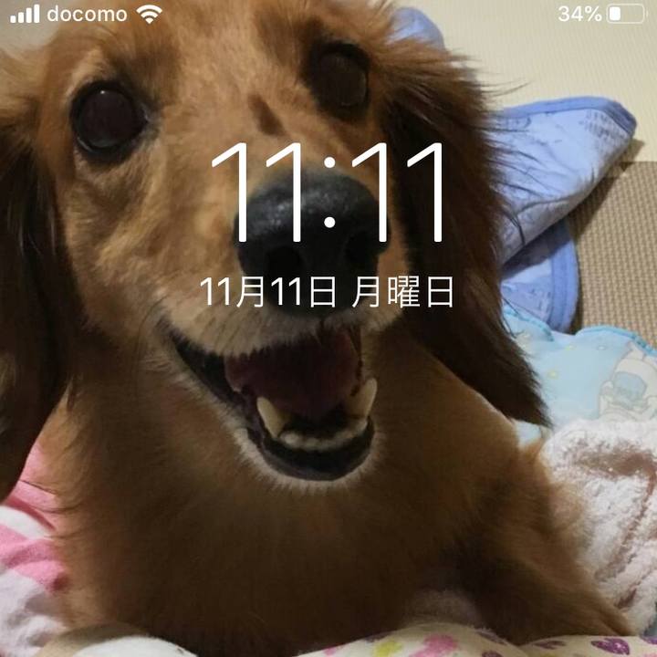 57f32707 5e5b 4d53 9580 eec24243492f 1573481734495