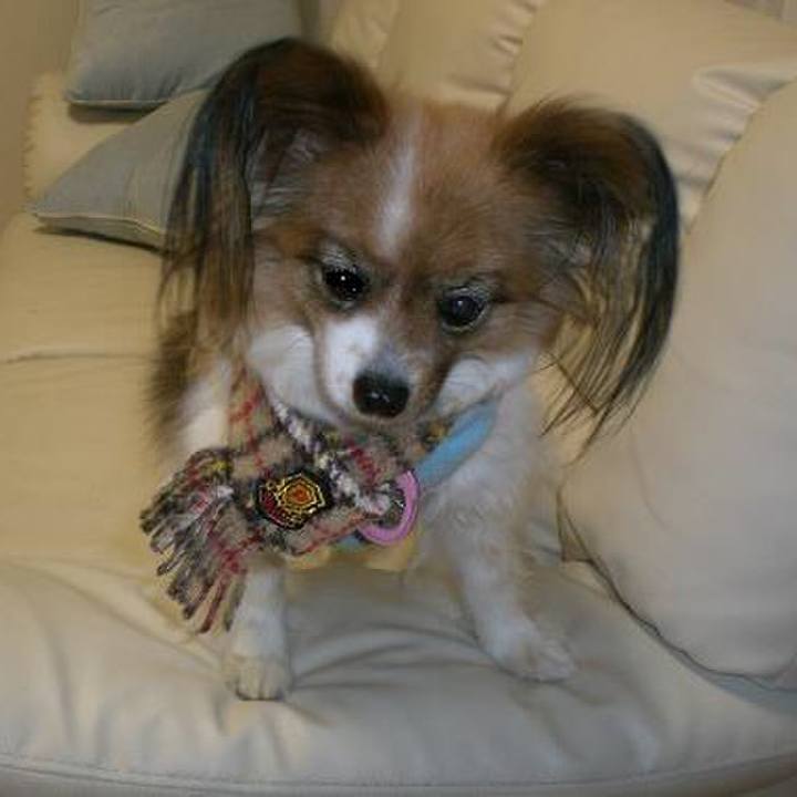 57f3783d accf 4048 b29a 8ab0cd8916c9 1509783589568