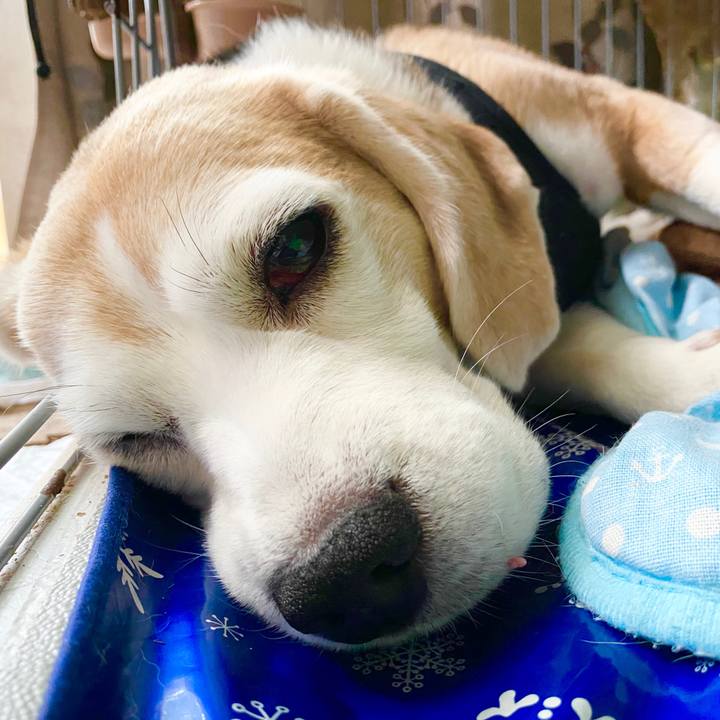 57f3b558 8c56 431e a8b0 69eb971cd9c7 1594956991269