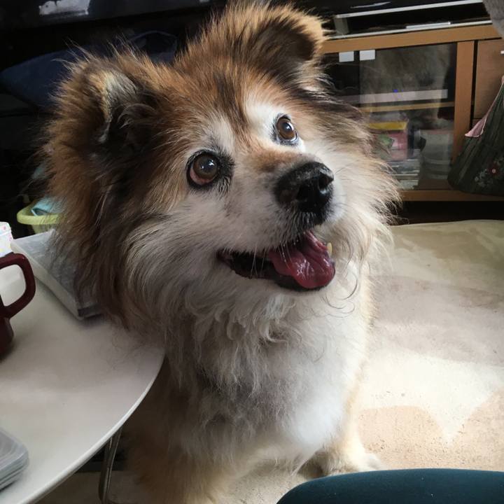 57f3ccc1 ba64 4b90 b406 8356634217b1 1584319061496