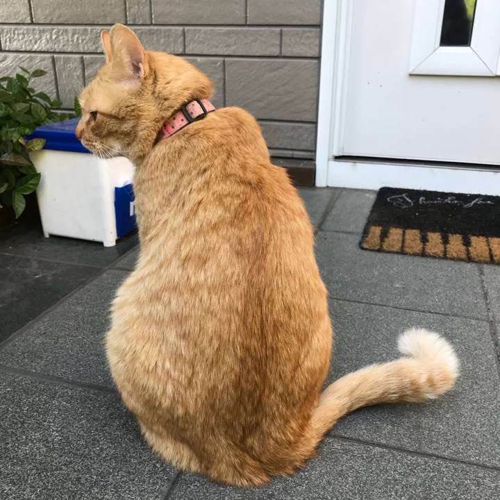 57f400ac f429 43b0 8196 109f3e2c5136 1525421946966