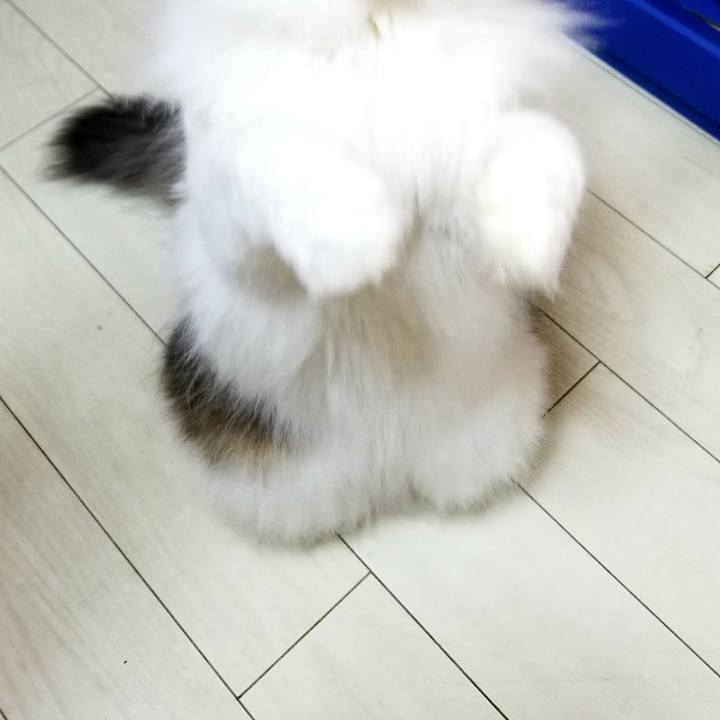 57f43c0e 9cda 435c 88ff d9ae25197951 1571572676565