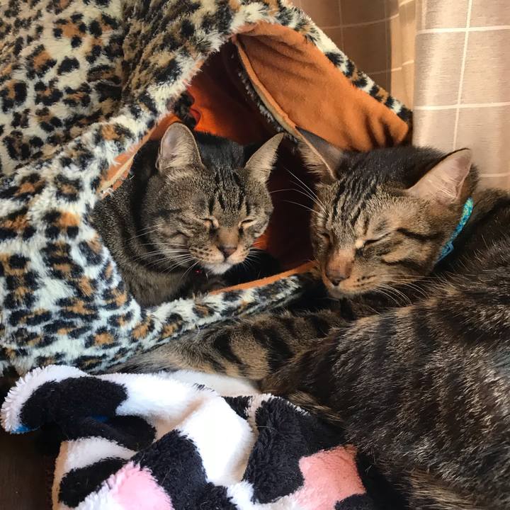 57f488fa 1164 43c4 b0c2 08e9c7345a83 1561900525791