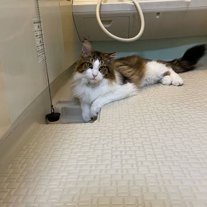 57f4a95d 3ed1 46ef b014 a415fac5fbc5 1640913285282