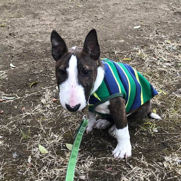 57f4adb1 df6b 478b a4df e893a8653505 1549954607002