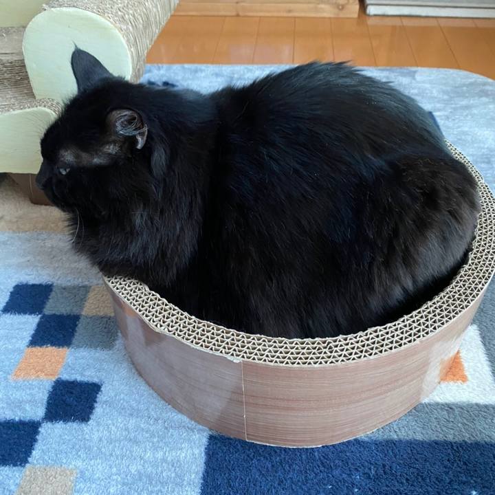 57f4b359 14d7 46b1 ae99 10e420b5bda2 1610117665141