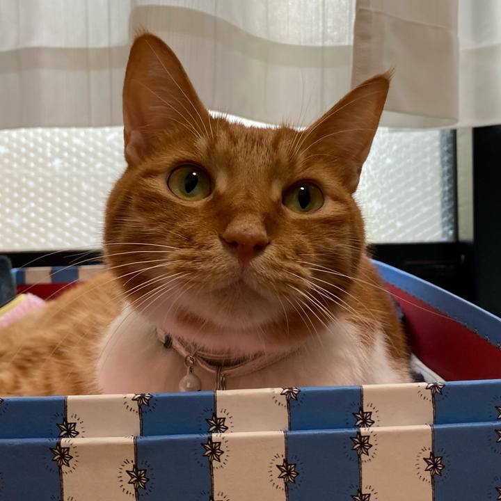 57f515aa 5db7 4be9 aad6 7bf229cc41be 1628497749233