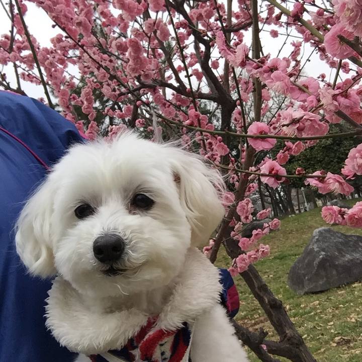 57f51b7d a5cf 4605 aa37 92a44a22ee11 1519796448001