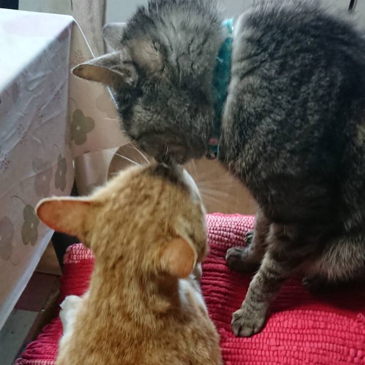 57f51bbb 610a 4482 b447 6d528141a0c9 1555113697029