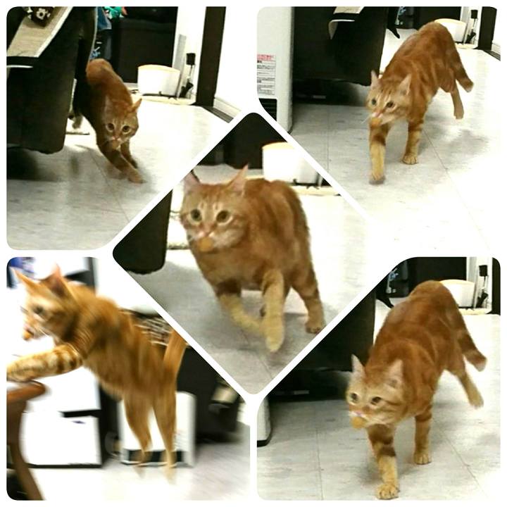 57f530ae 9a9f 44ab 9137 dc294feb5c83 1554810352072