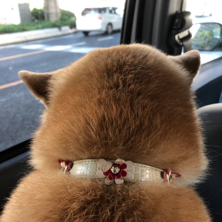 57f539da 8fe8 4067 92a0 fa3cdc3b1510 1558686725487