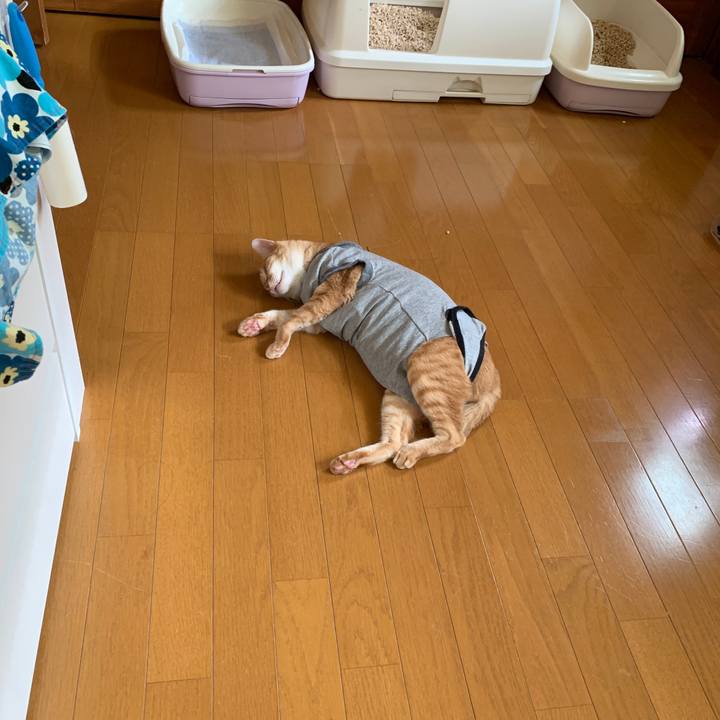 57f57587 c35a 4b49 a02f 22b310390cb9 1658360565856