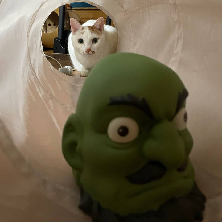 57f586a2 0735 4504 8647 759e08e61825 1644825500123