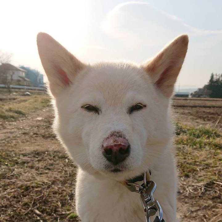 57f59d2c 040e 4eec a3fb 9bbaf974e52d 1773184344233