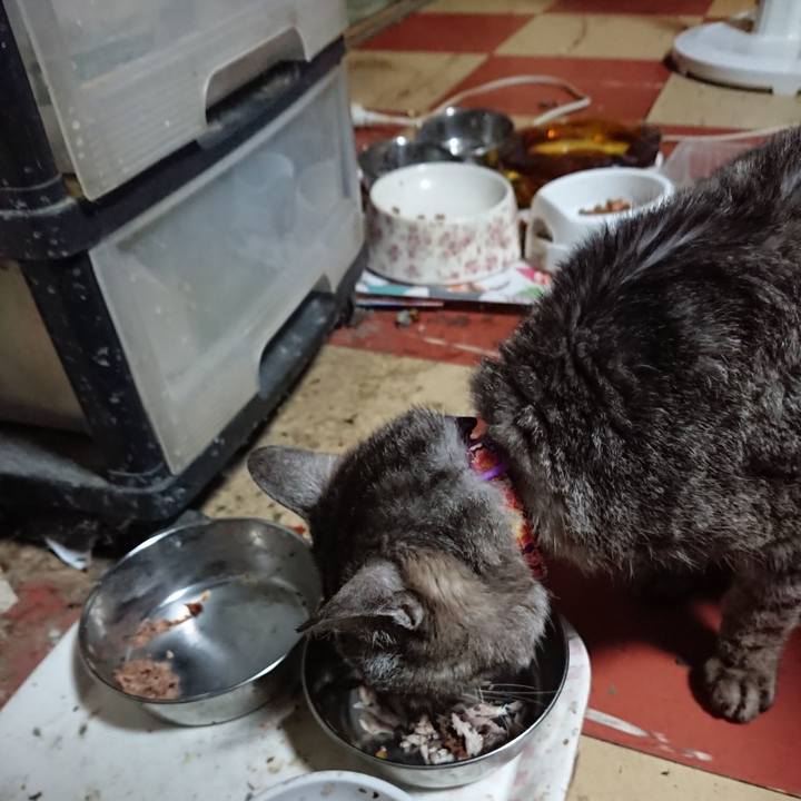 57f5b262 9710 44a7 bb53 9f4543cfb4a3 1596542424738