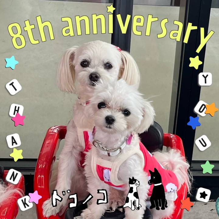 57f5d45a caf0 4673 8889 0698817b97db 1717570971941