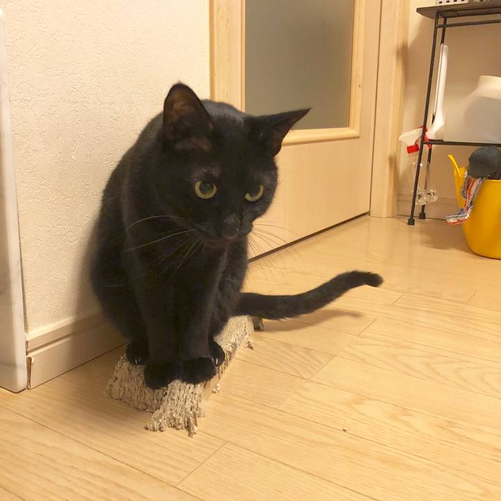 57f5e8a0 e69f 4e02 a0b9 11aff6a4e5c1 1582329066007