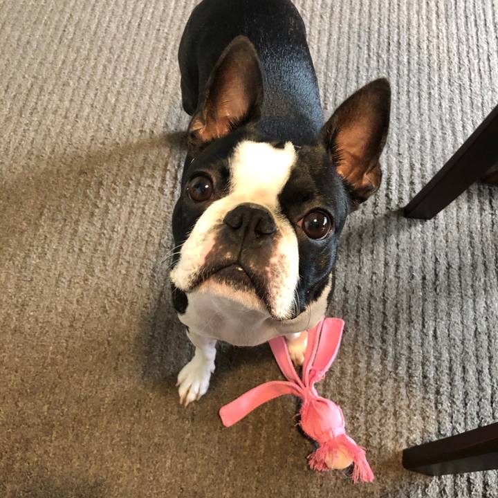 57f60ae0 00ba 48c3 a789 2b581dd5f31d 1566256598587