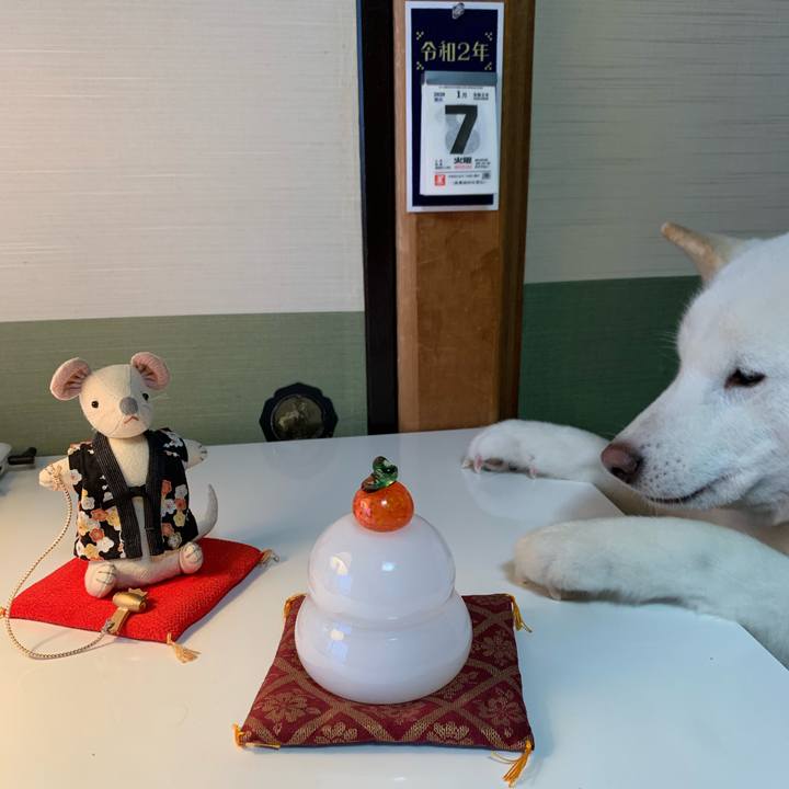 57f62811 7cd2 4ed3 8e9e 75e570404c76 1578355702434