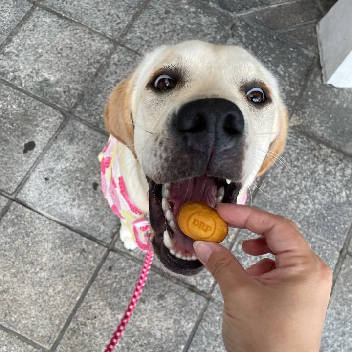 57f6528f 1e0a 48a5 b9f6 f57e132482ab 1628571525949