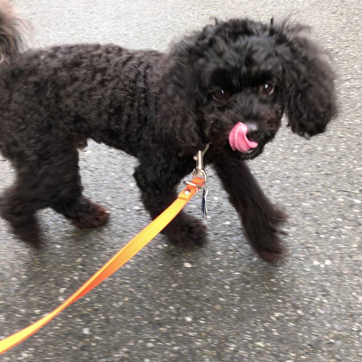 57f66106 d8c4 47e5 9b59 b169e48a2c91 1536443890700