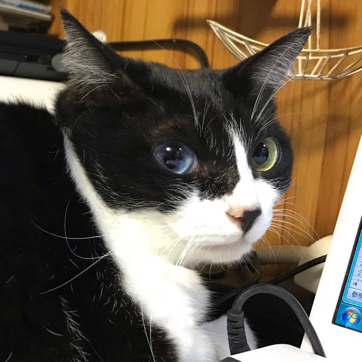 57f66239 ab07 42ed bda7 866e75731d9f 1541068488088