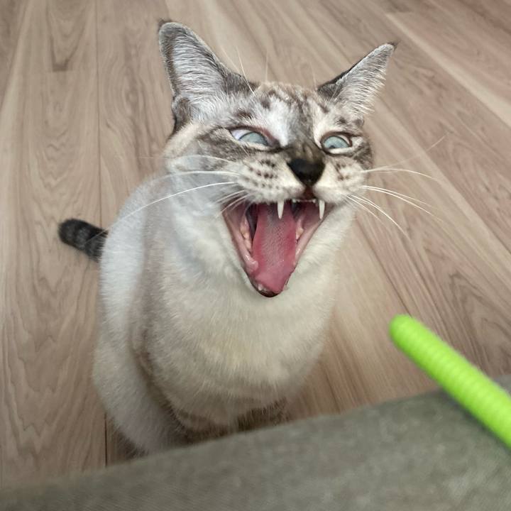 57f6aa02 a2f3 4892 8334 136cf899e7d5 1604618751776