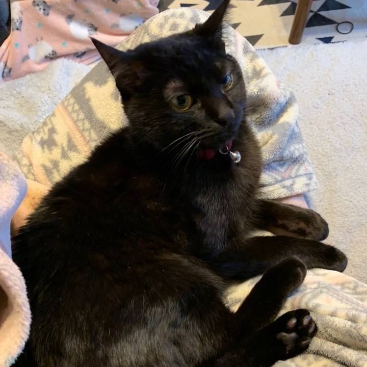 57f6ba00 88f6 4c36 8e74 43c15a3148cd 1586748108748