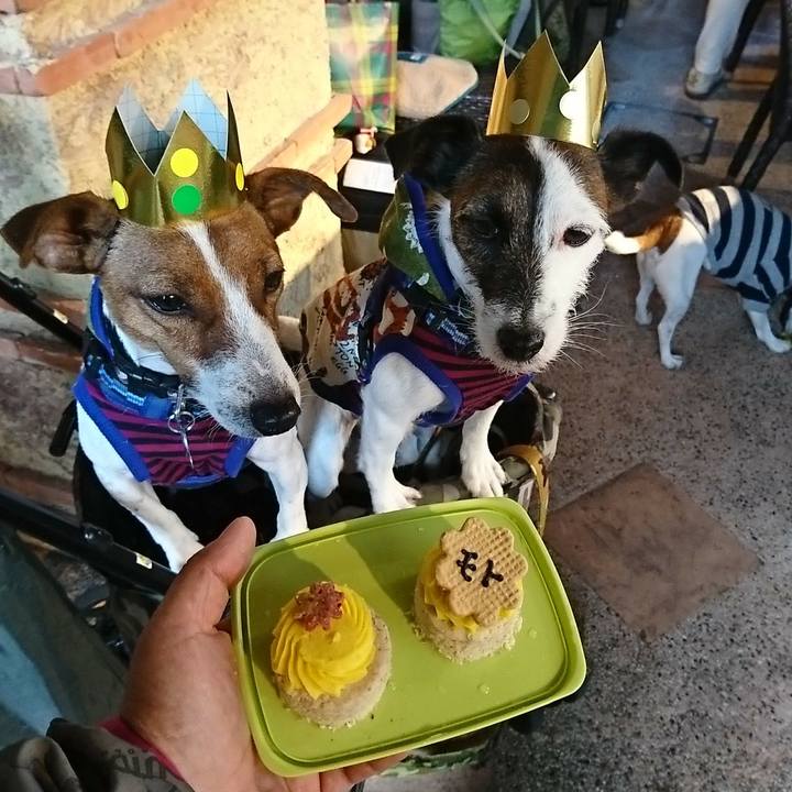 57f6bc1c 5495 488f 9504 e62b5ffddebc 1542955404742